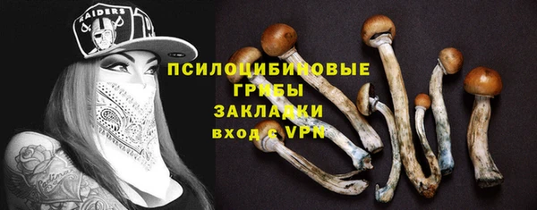 соль ск Володарск